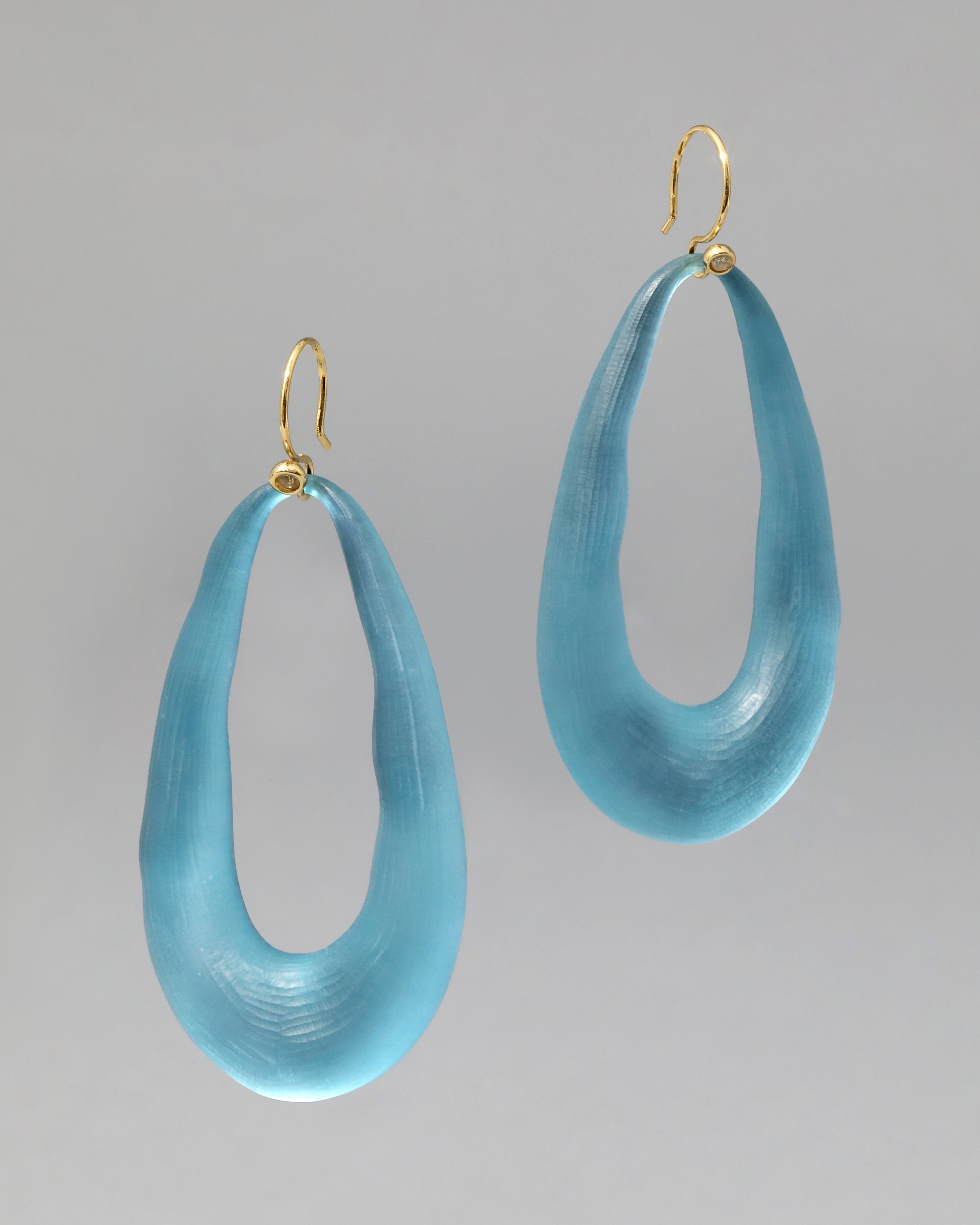 Alexis bittar lucite 2024 Earrings