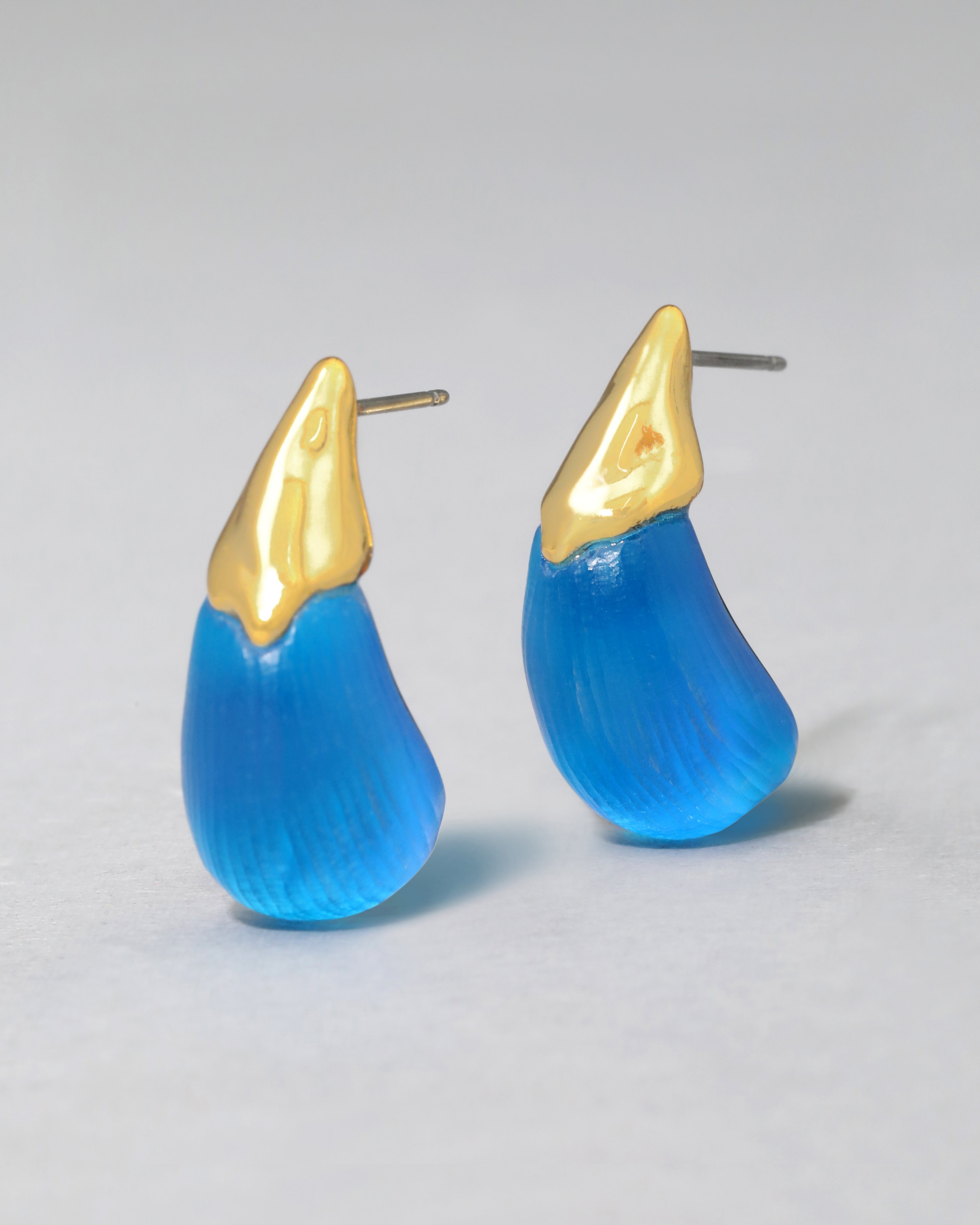 Alexis newest Bittar Earrings