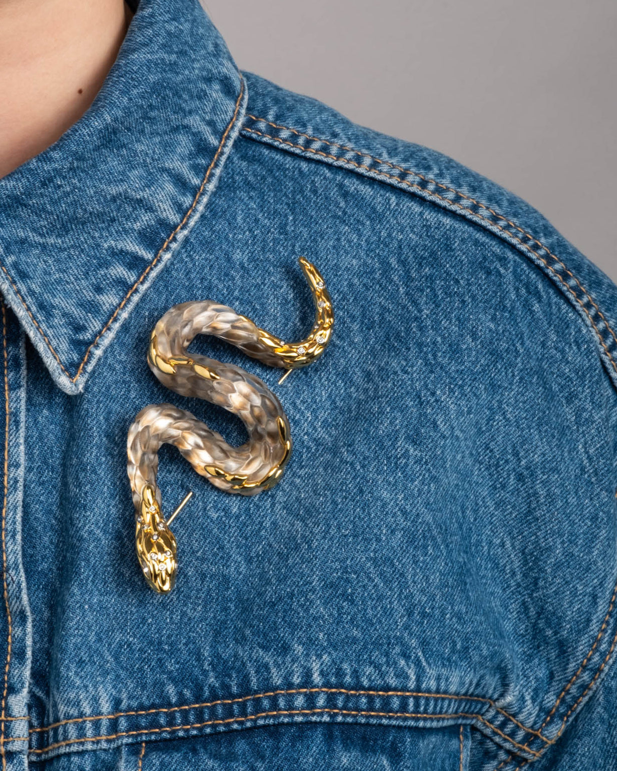 Serpent Lucite Pin- Desert - Photo 2